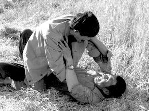 红色康拜因 在线观看,重温革命岁月的激情岁月  第2张