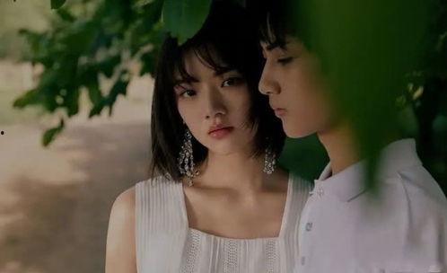 娱乐圈爆料边程,娱乐圈爆料背后的真相揭秘